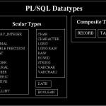 sql data type