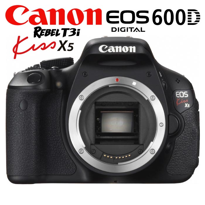 Canon - canon EOS kiss x5 +別売(18-135mm STMレンズ付)の+